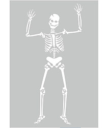 Šablóna na maľovanie Kostra 1, ST544
